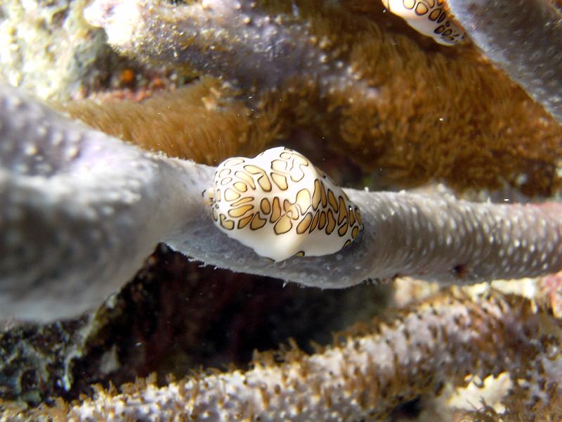 2011-09-11 14-14-22 Steven.JPG
